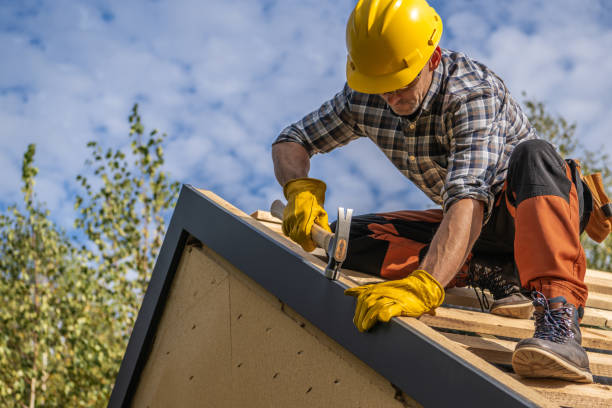 Best Roof Leak Repair  in Presidio, TX